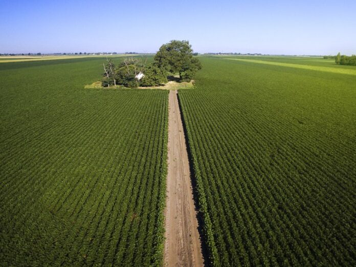 Crédito agrícola é a mais nova medida econômica do Governo (Foto: Getty Images/Reprodução)